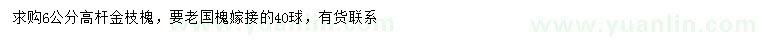 求購6公分金枝槐、老國槐