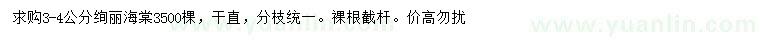 求購3-4公分絢麗海棠