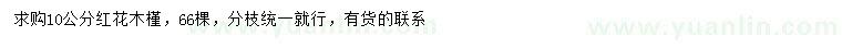 求購10公分紅花木槿