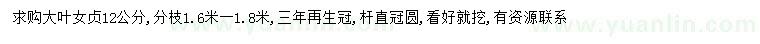 求購12公分大葉女貞
