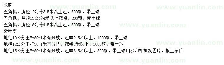 求購胸徑12、15、18公分五角楓、地徑10、12、15公分紫葉李