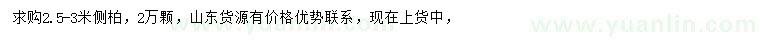 求購2.5-3米側(cè)柏