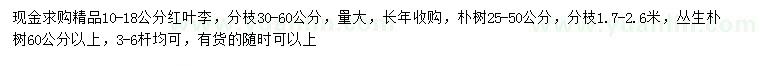求購(gòu)紅葉李、樸樹(shù)、叢生樸樹(shù)