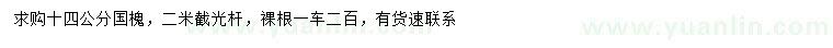 求購14公分國槐