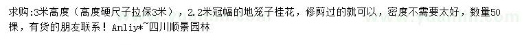 求購(gòu)高3米桂花