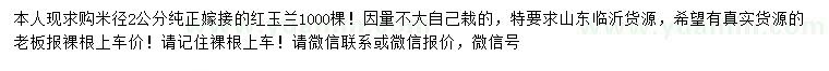 求購米徑2公分紅玉蘭