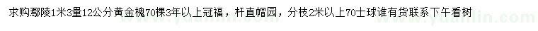 求購1.3米量12公分黃金槐