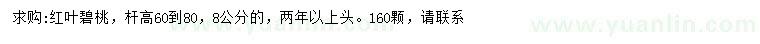 求購高60-80公分紅葉碧桃