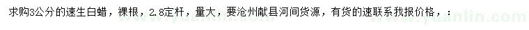 求購3公分速生白蠟