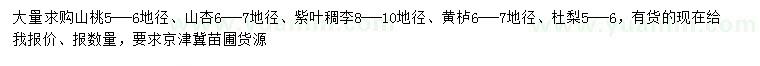 求購山桃、山杏、紫葉稠李等