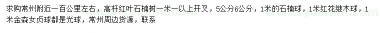 求購高桿紅葉石楠、石楠球、紅花繼木球等