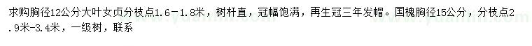 求購胸徑12公分大葉女貞、胸徑15公分國槐