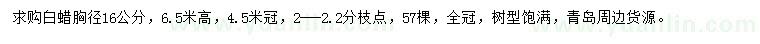 求購胸徑16公分白蠟