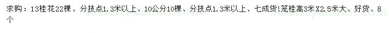 求購(gòu)10、13公分桂花