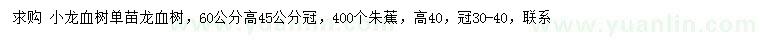求購(gòu)高60公分龍血樹