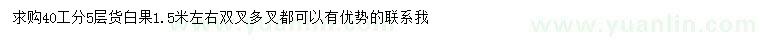 求購40公分白果