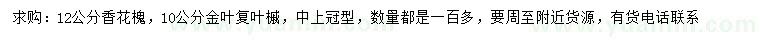 求購(gòu)12公分香花槐、10公分金葉復(fù)葉槭