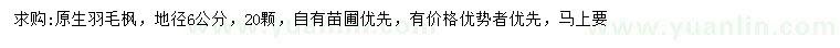 求購地徑6公分羽毛楓