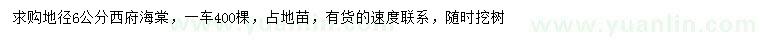 求購(gòu)地徑6公分西府海棠
