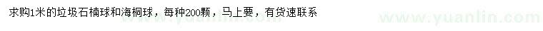 求購(gòu)1米石楠球、海桐球