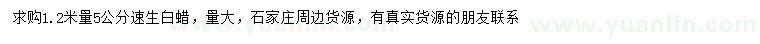 求購1.2米量5公分速生白蠟