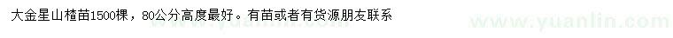 求購高80公分大金星山楂樹