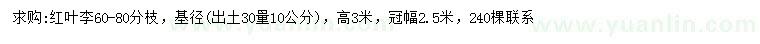 求購(gòu)30量10公分紅葉李
