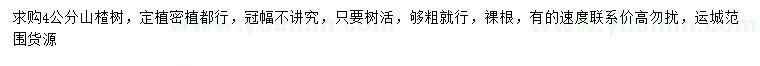 求購4公分山楂樹