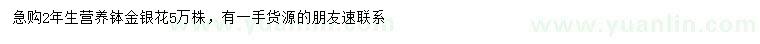 求購(gòu)2年生金銀花