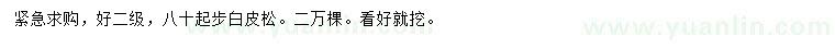 求購(gòu)80公分以上白皮松