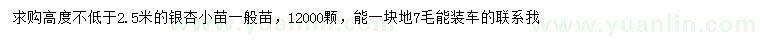 求購(gòu)高2.5米以上銀杏小苗