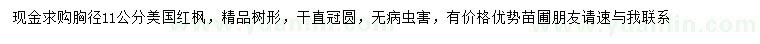 求購(gòu)胸徑11公分美國(guó)紅楓