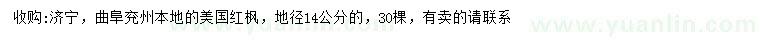 求購地徑14公分美國紅楓
