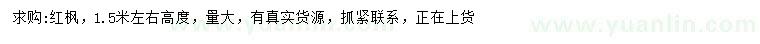 求購高1.5米左右紅楓
