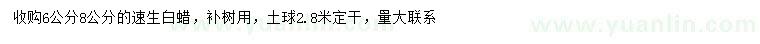 求購(gòu)6、8公分速生白蠟