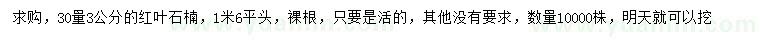 求購30量3公分紅葉石楠