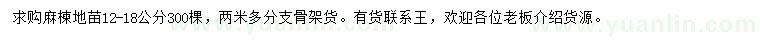 求購12-18公分麻楝
