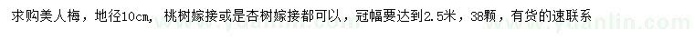 求購地徑10公分美人梅