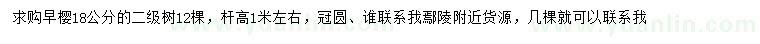 求購18公分早櫻