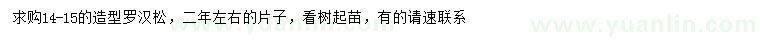 求購(gòu)14-15公分造型羅漢松