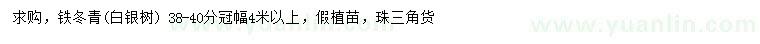 求購38-40公分鐵冬青