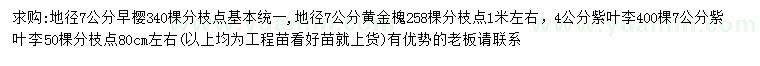 求購早櫻、黃金槐、紫葉李