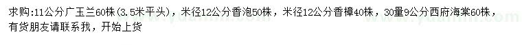 求購廣玉蘭、香泡、香樟等