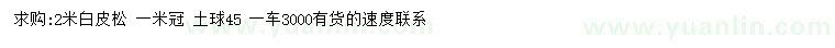 求購2米白皮松