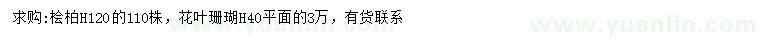 求購高120公分檜柏、高40公分花葉珊瑚