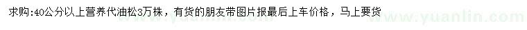 求購40公分以上油松