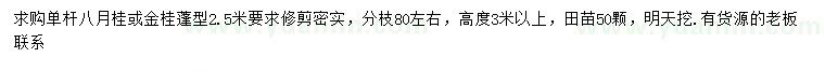 求購高3米以上八月桂、金桂