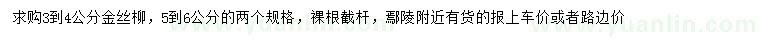 求購(gòu)3-4、5-6公分金絲柳