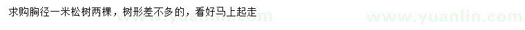 求購胸徑1米松樹