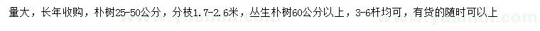 求購(gòu)25-50公分樸樹(shù)、60公分以上叢生樸樹(shù)